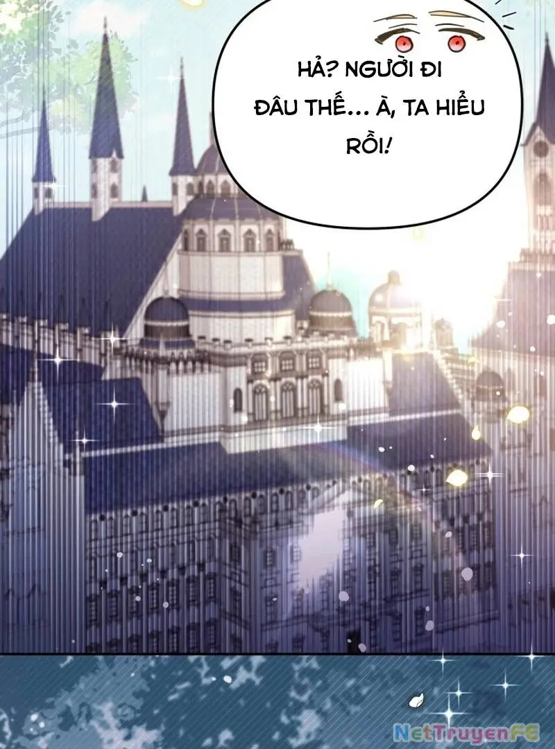 Chapter 61