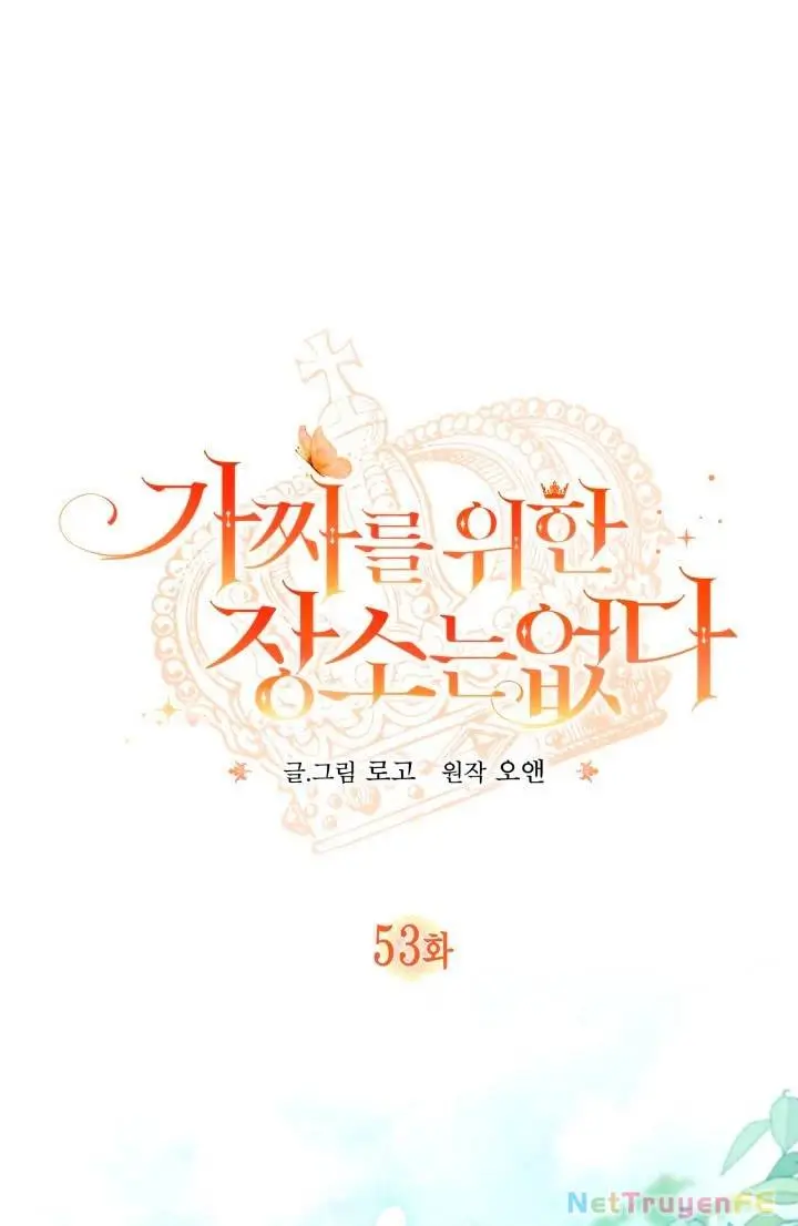 Chapter 53
