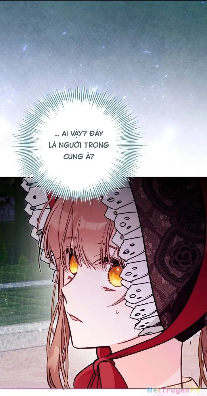 Chapter 53