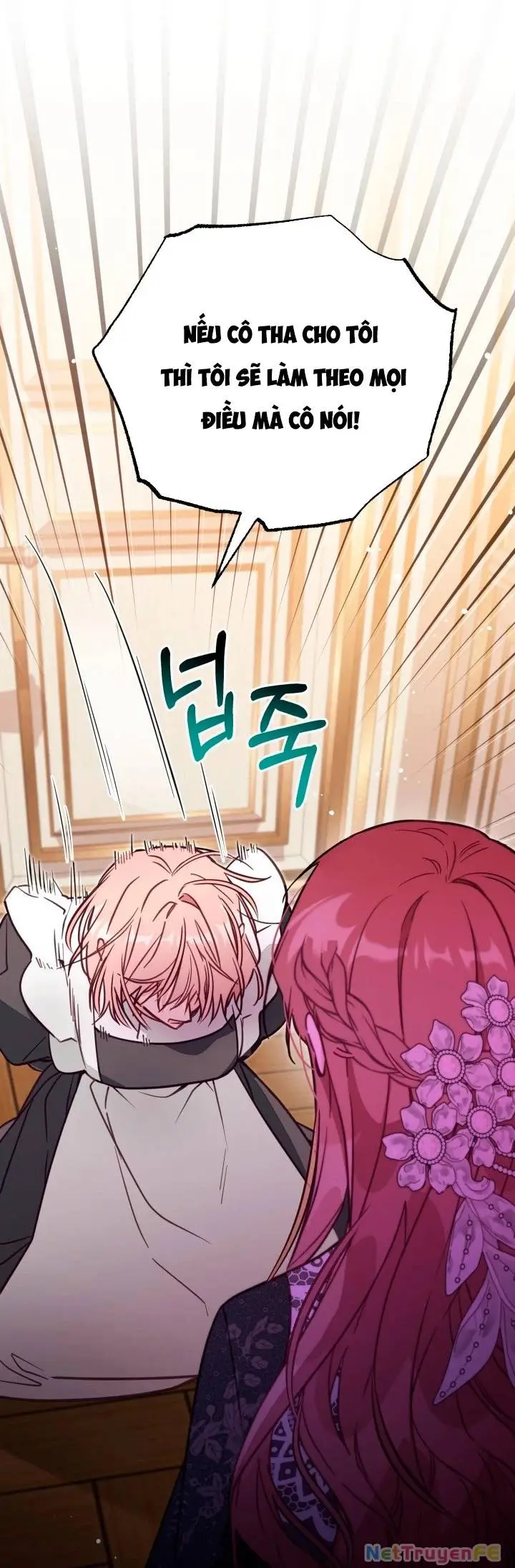 Chapter 52