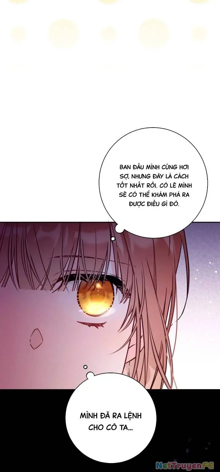 Chapter 52