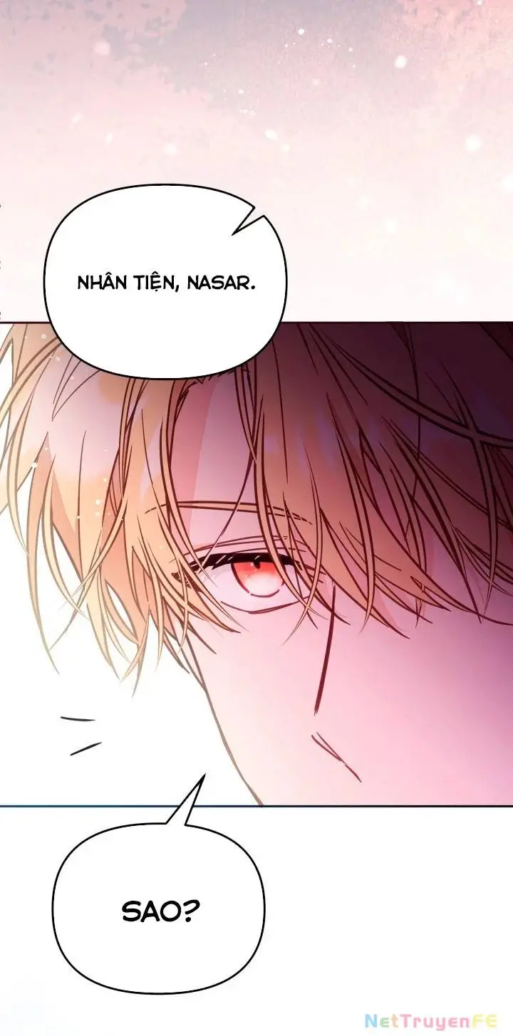 Chapter 52