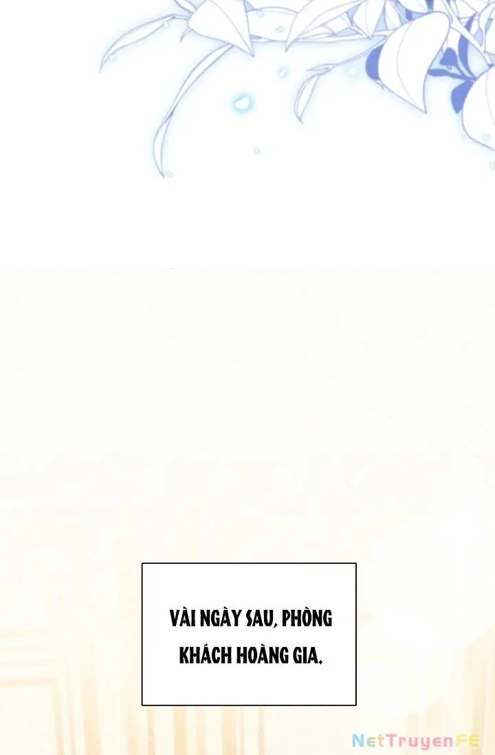 Chapter 51