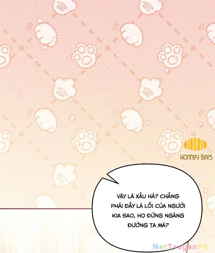Chapter 51