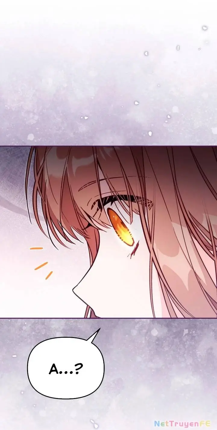 Chapter 51