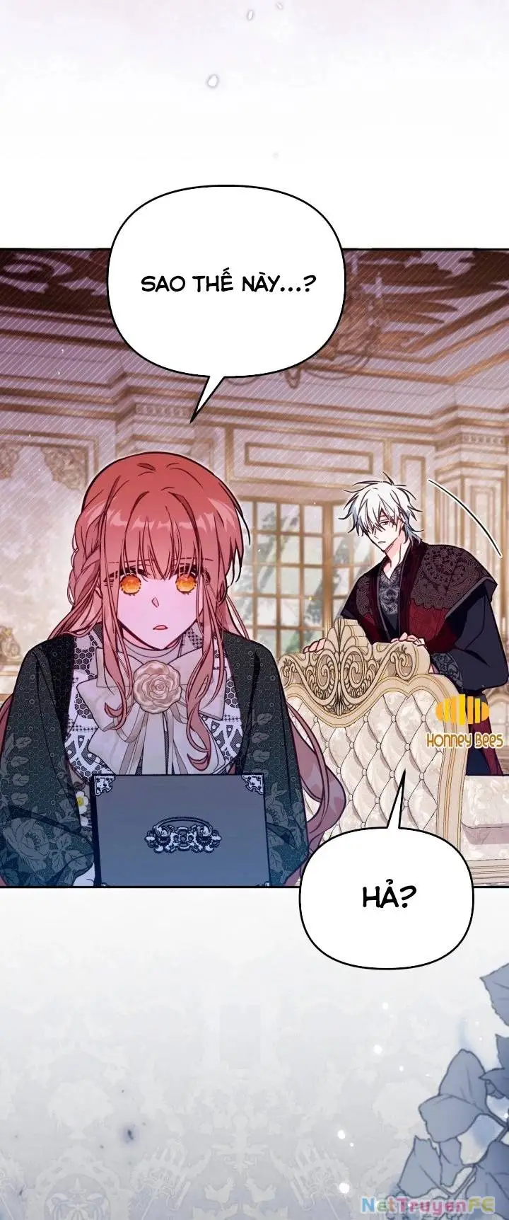 Chapter 51