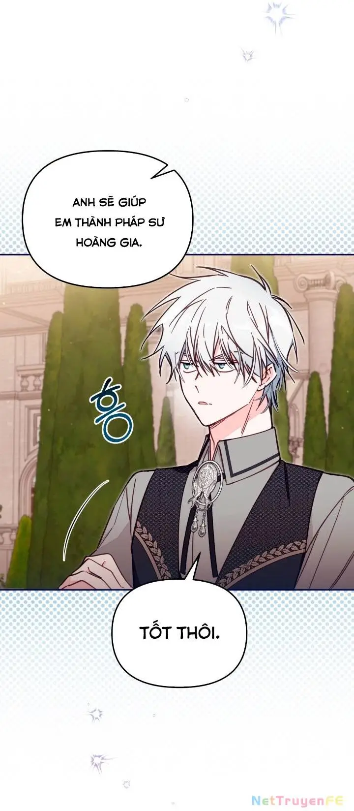 Chapter 51