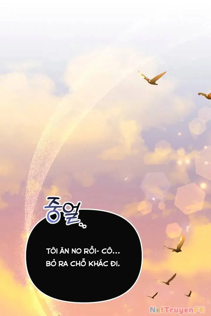 Chapter 49