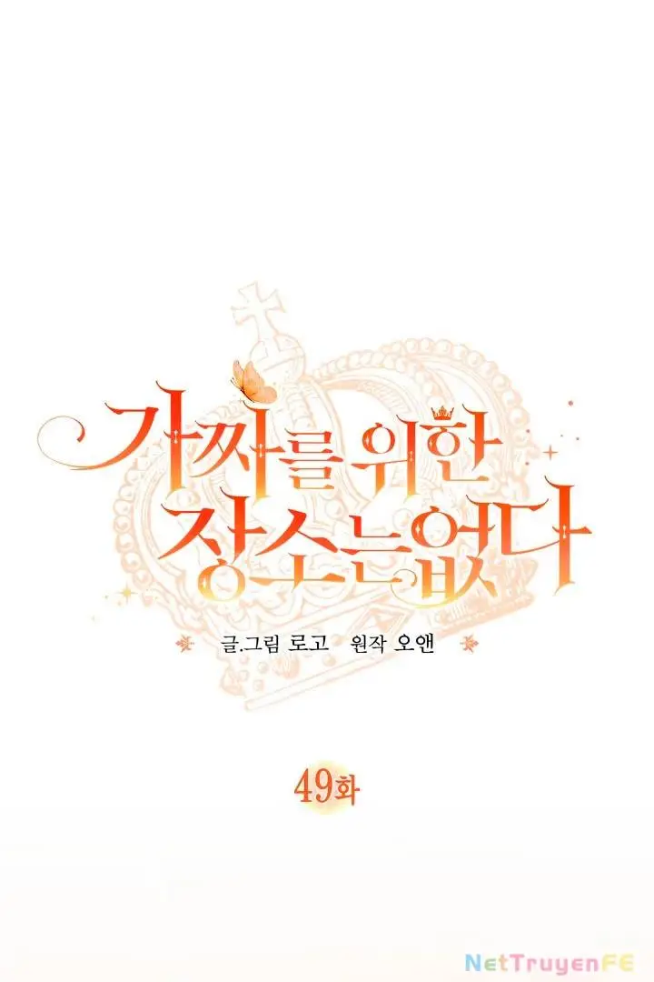 Chapter 49