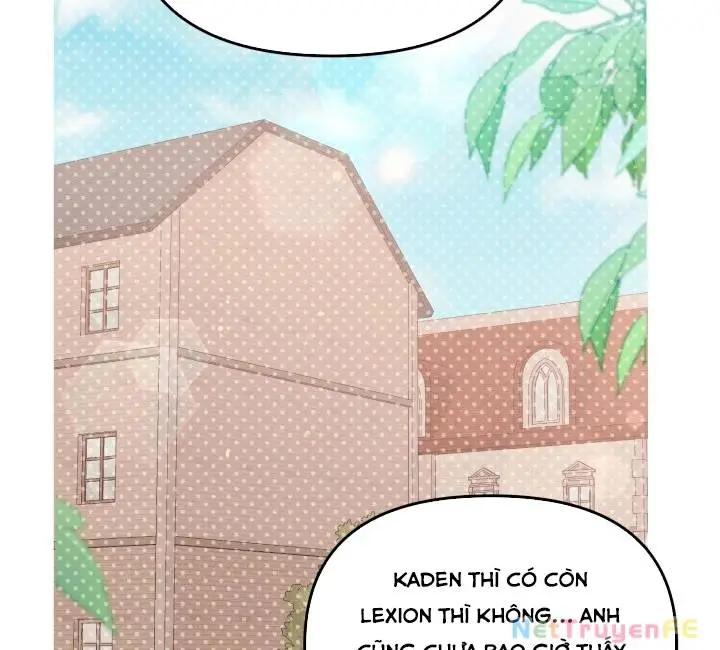 Chapter 49