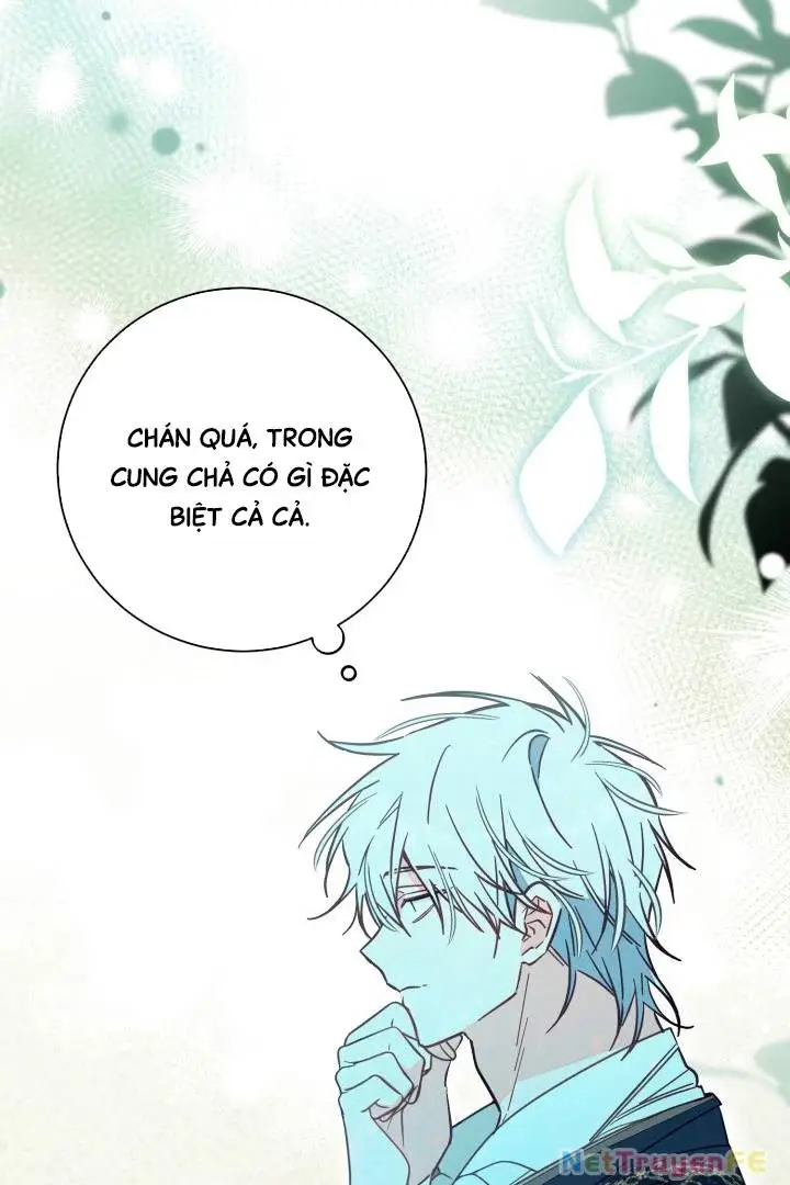 Chapter 49