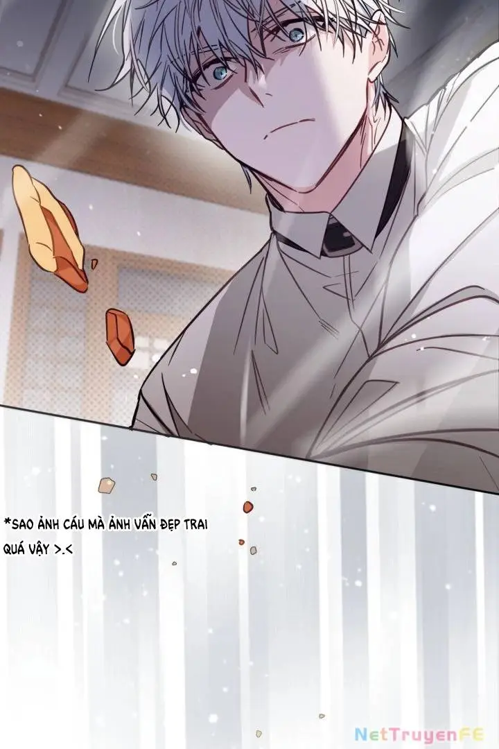 Chapter 48