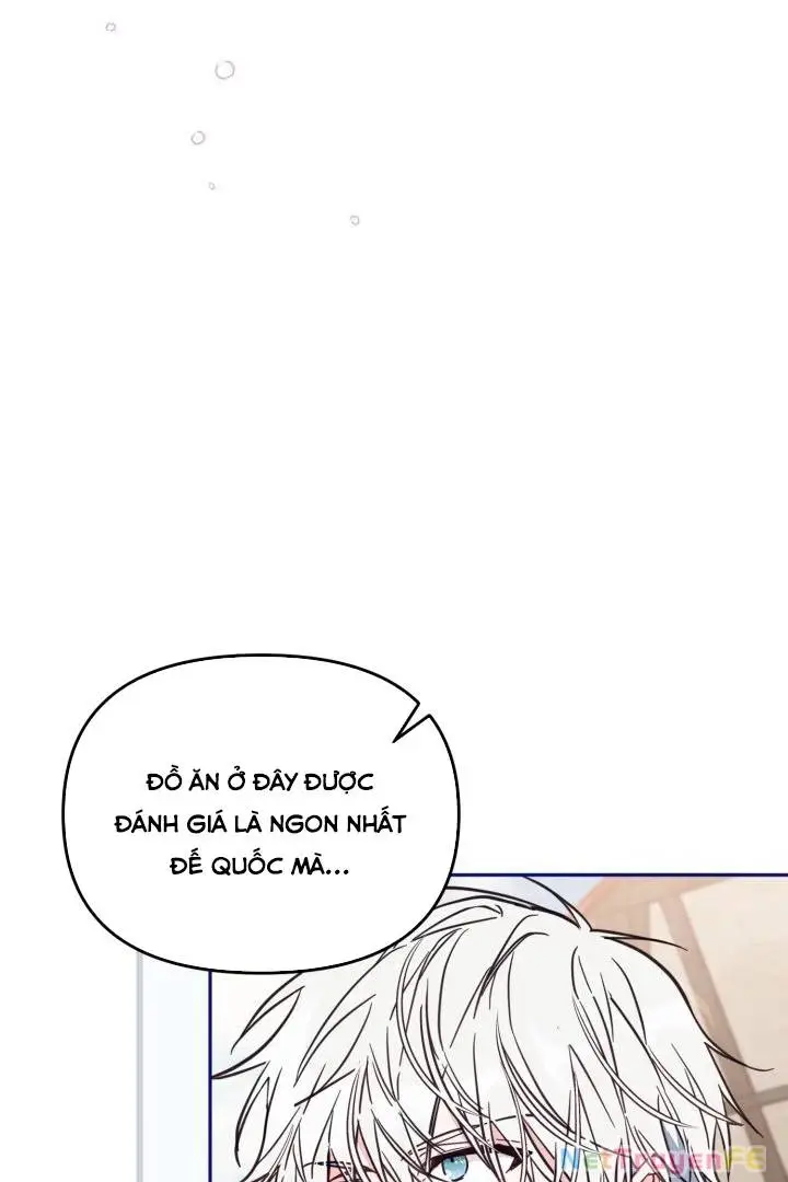Chapter 48