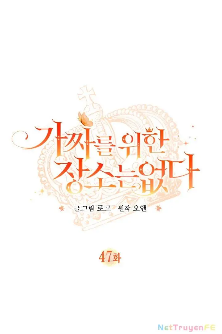 Chapter 47