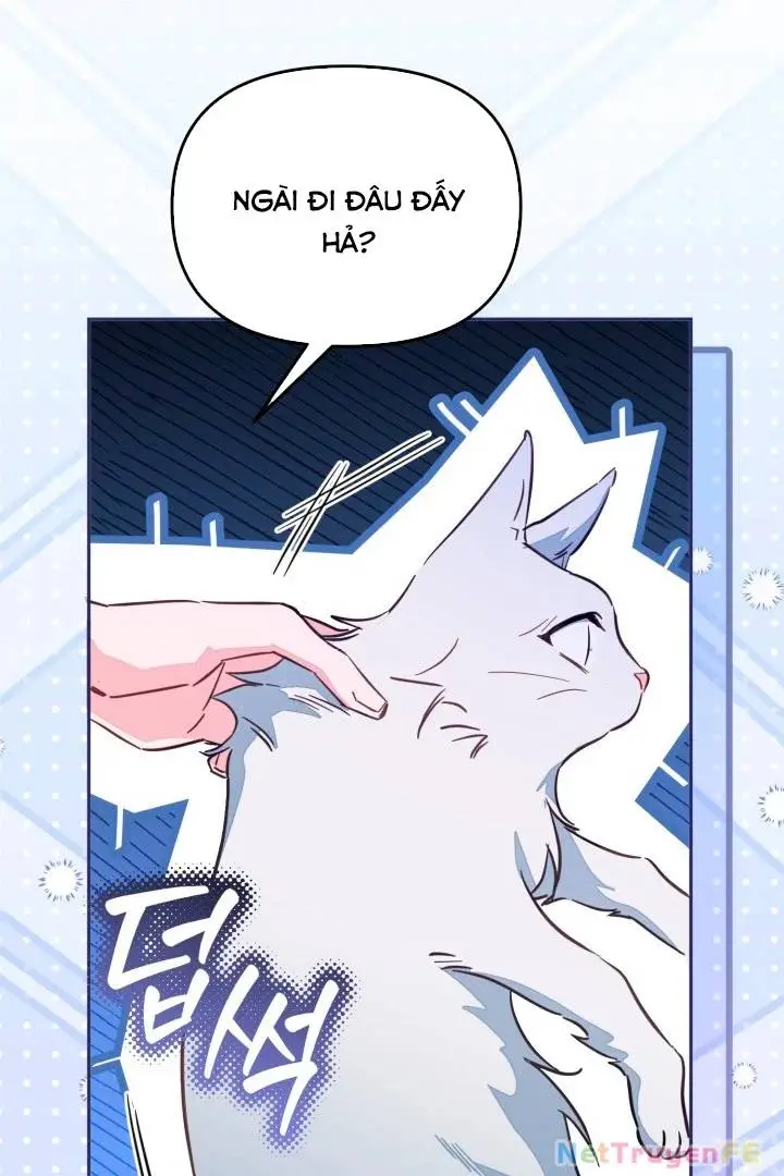 Chapter 47