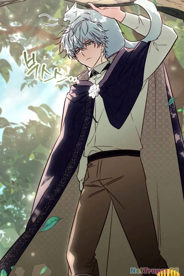 Chapter 47