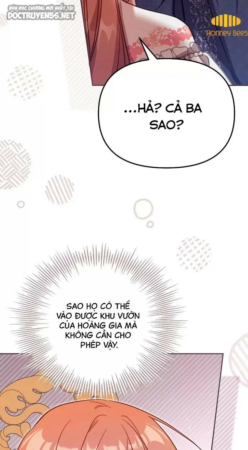 Chapter 41