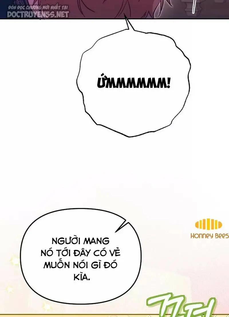 Chapter 41