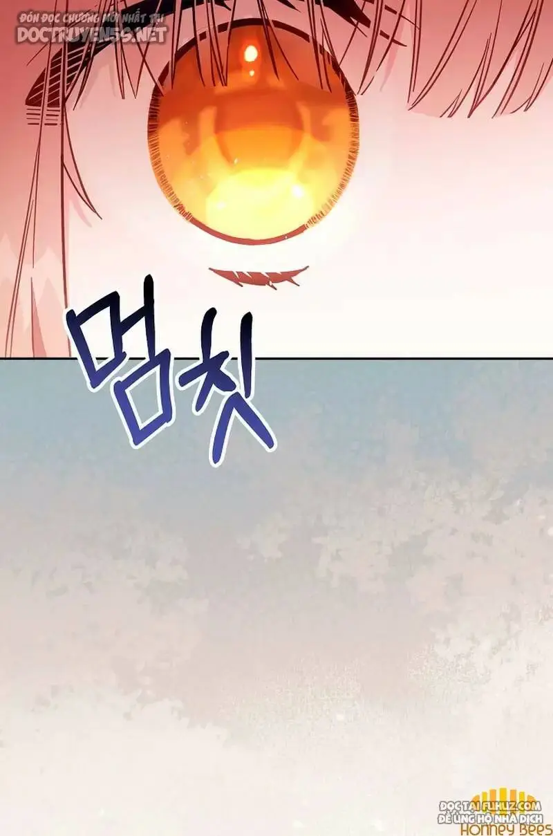 Chapter 41