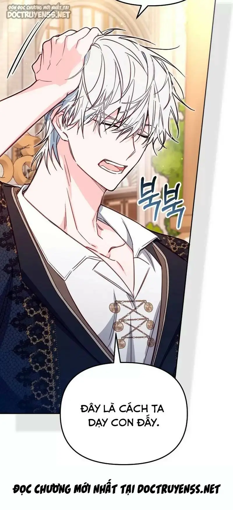 Chapter 41