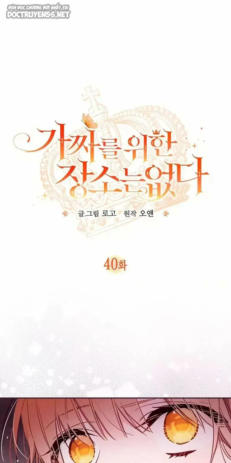 Chapter 40