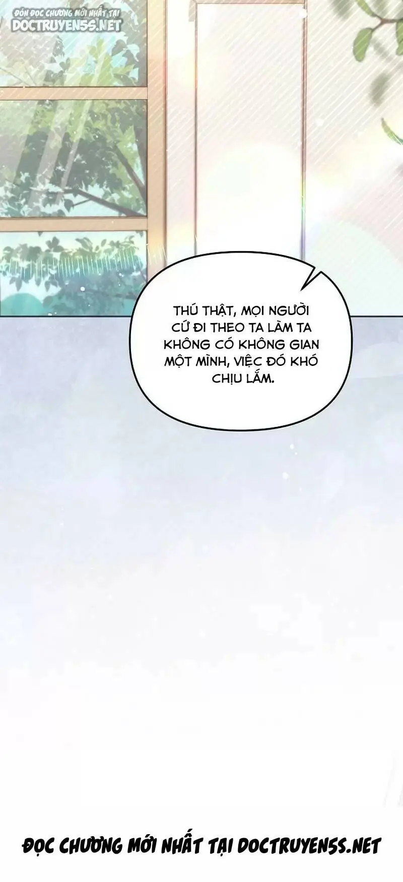 Chapter 40