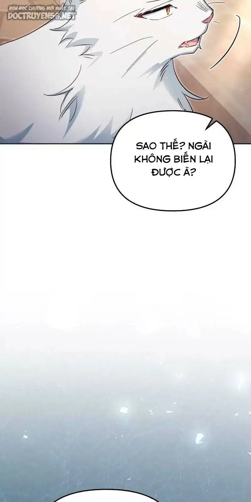 Chapter 40