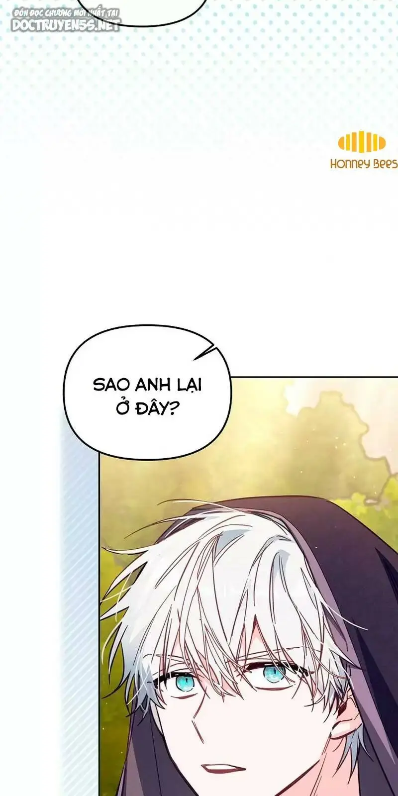 Chapter 40