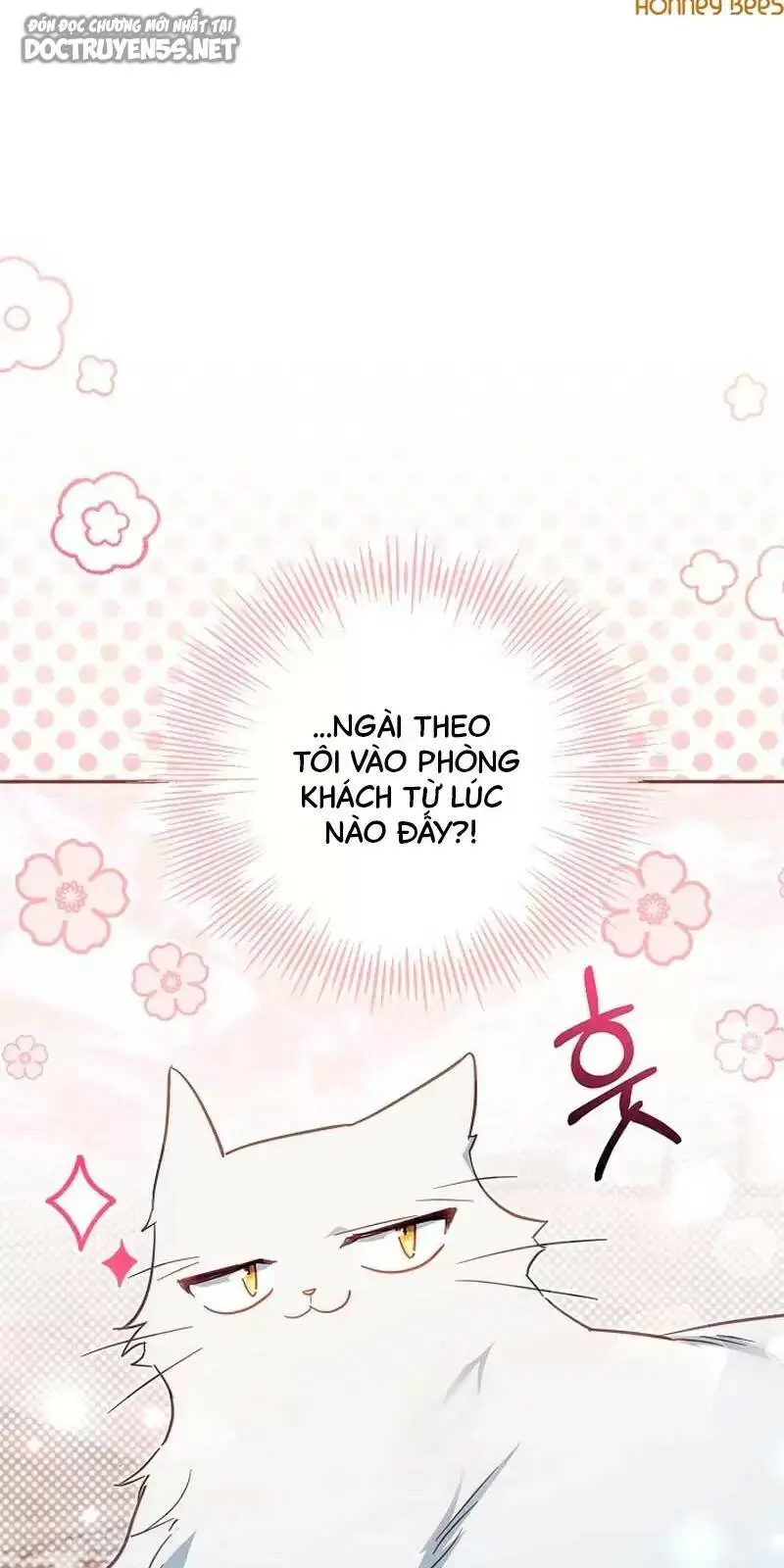 Chapter 39