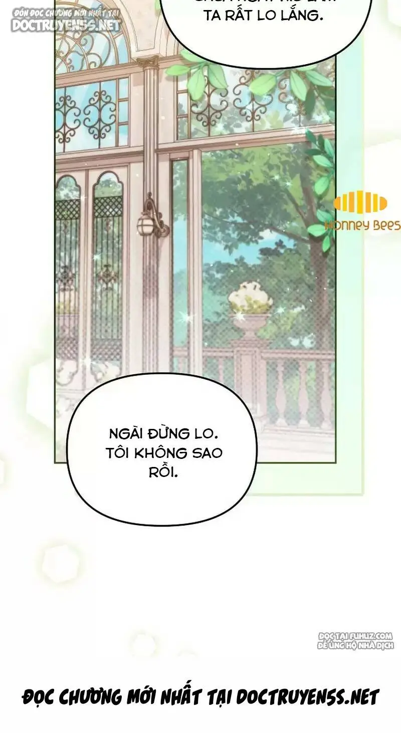 Chapter 39