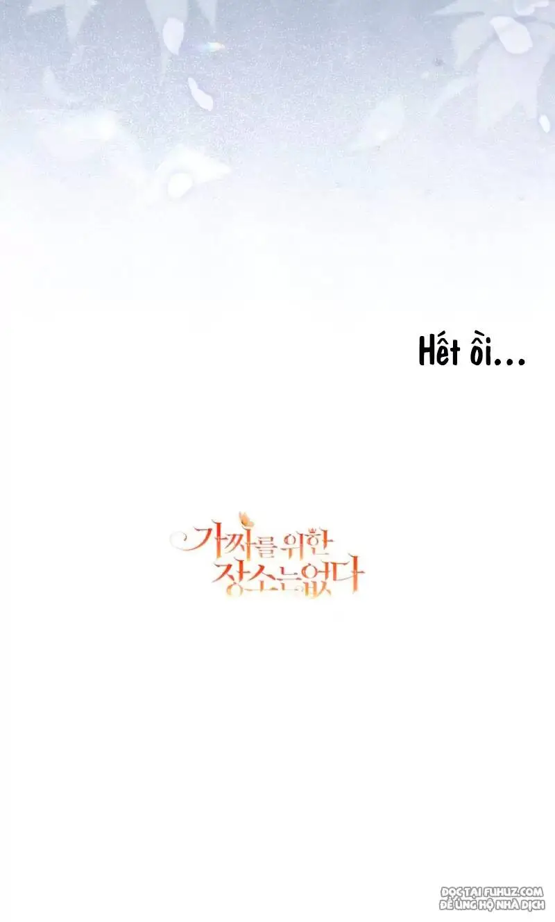 Chapter 37