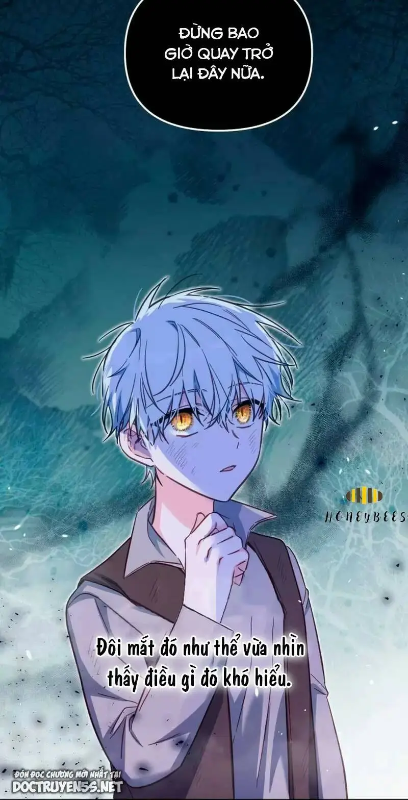 Chapter 33