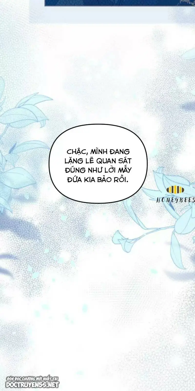 Chapter 33