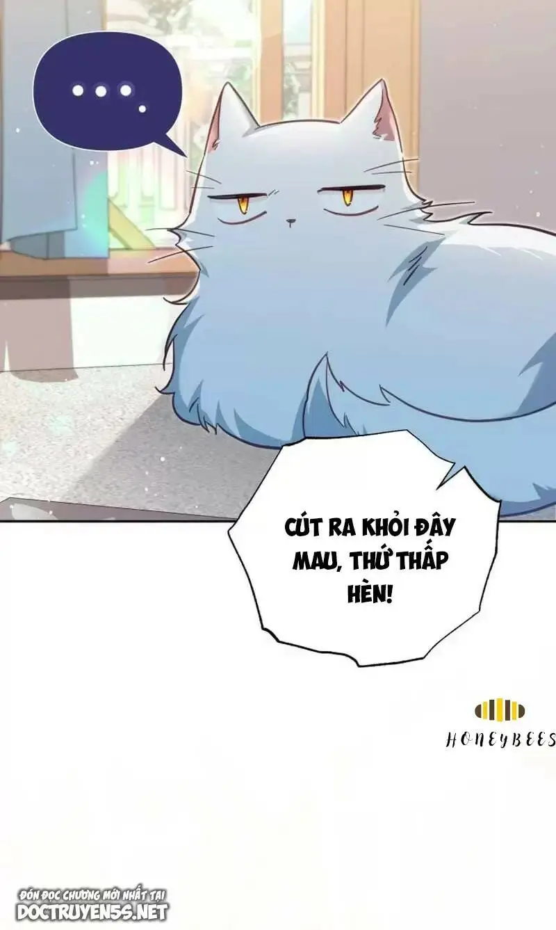 Chapter 33