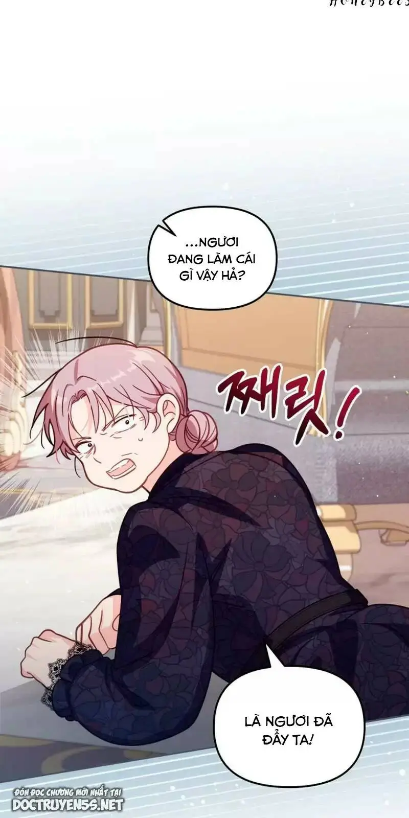 Chapter 33