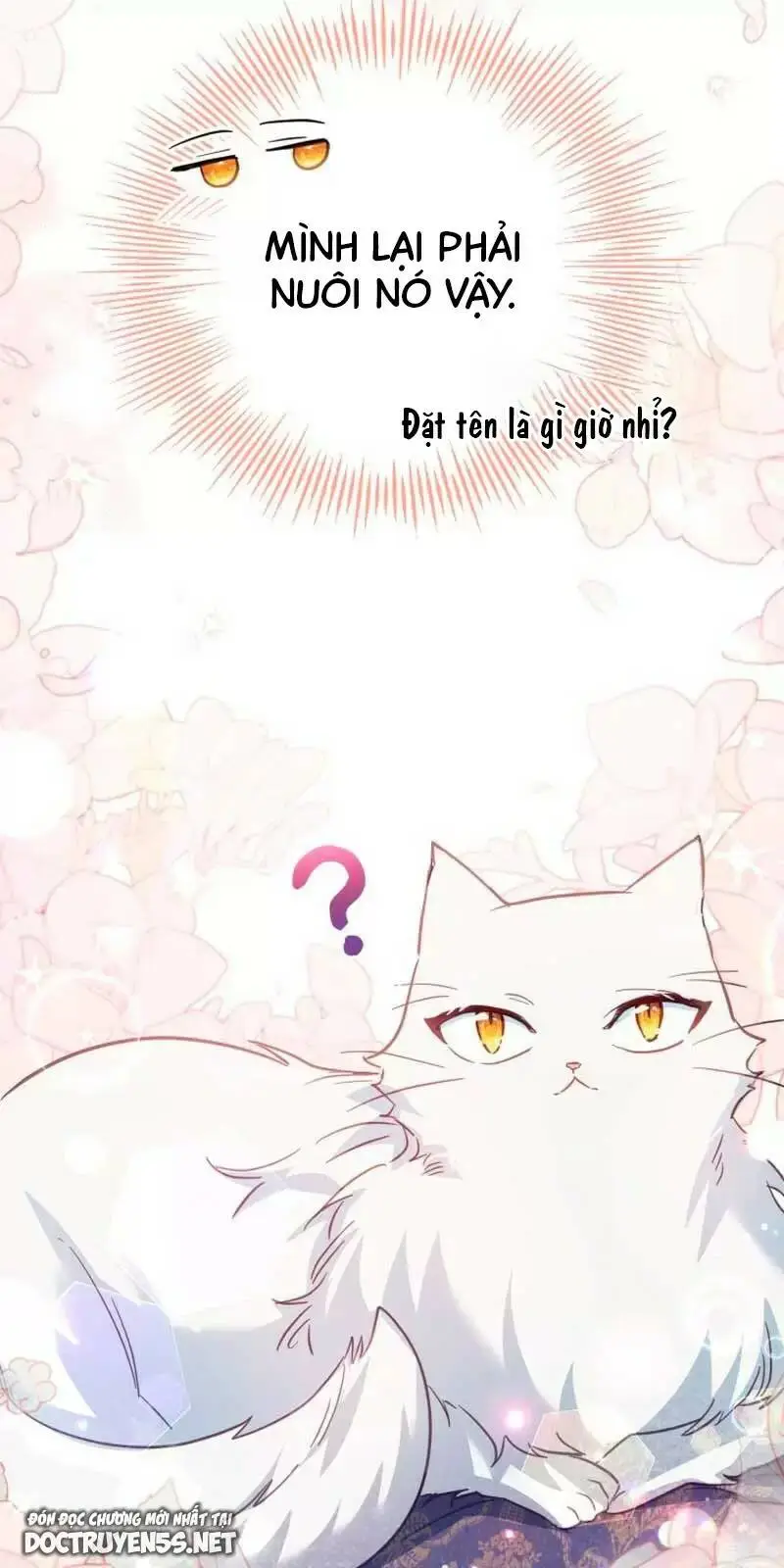 Chapter 33