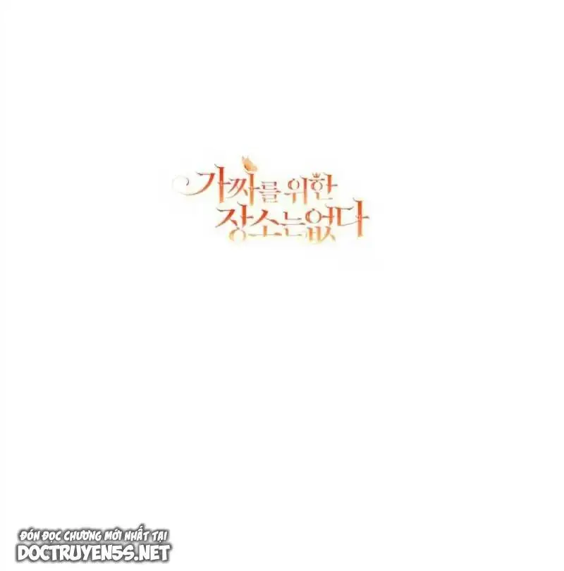Chapter 33