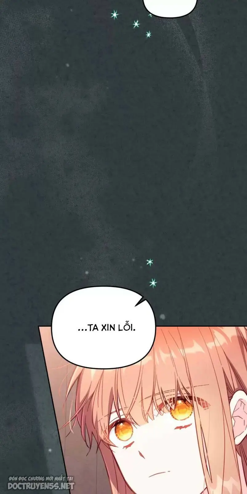 Chapter 31