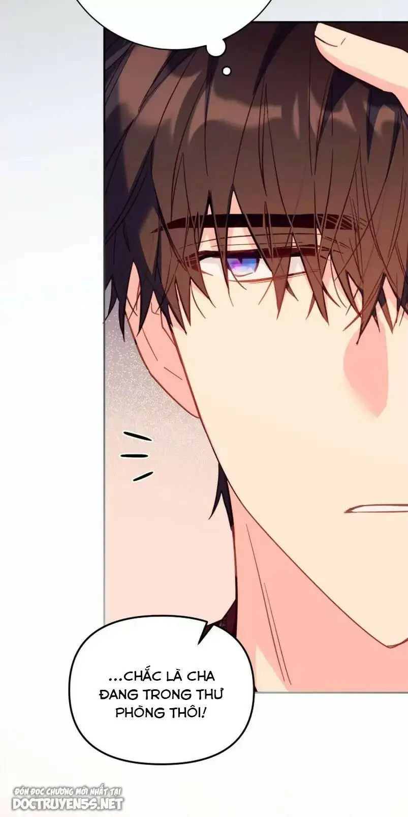Chapter 31