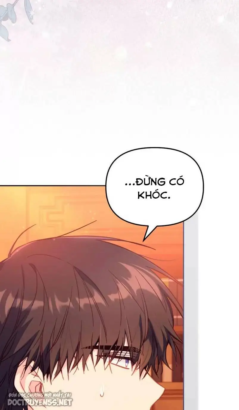Chapter 31