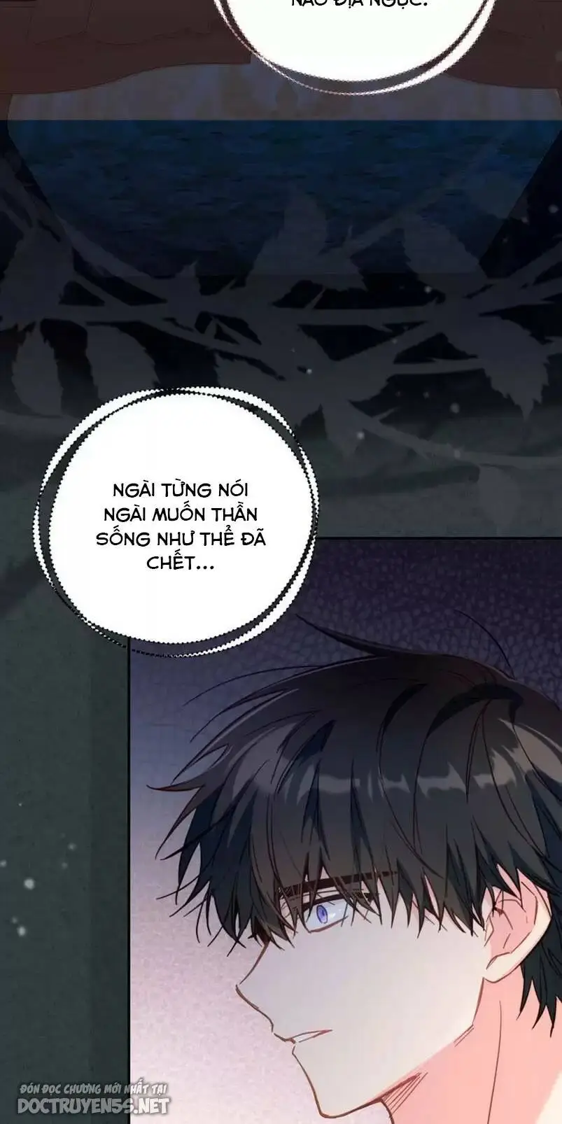 Chapter 31