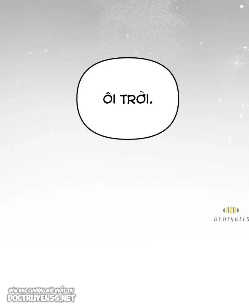 Chapter 31