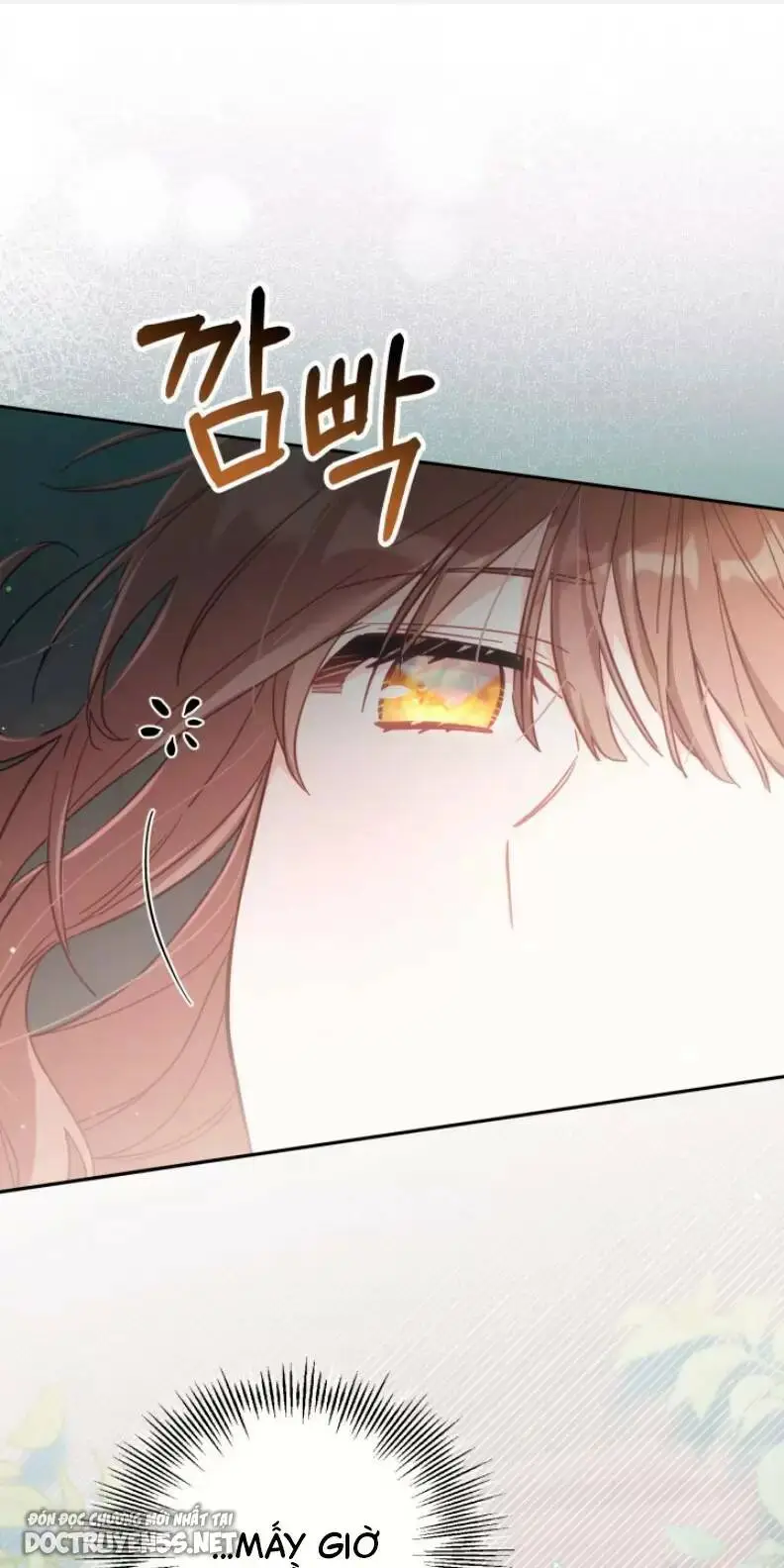 Chapter 30