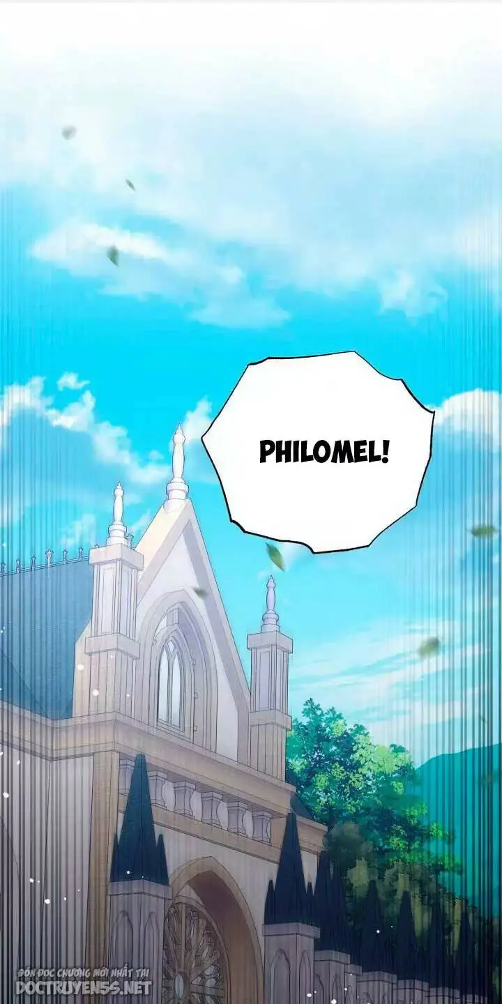 Chapter 29
