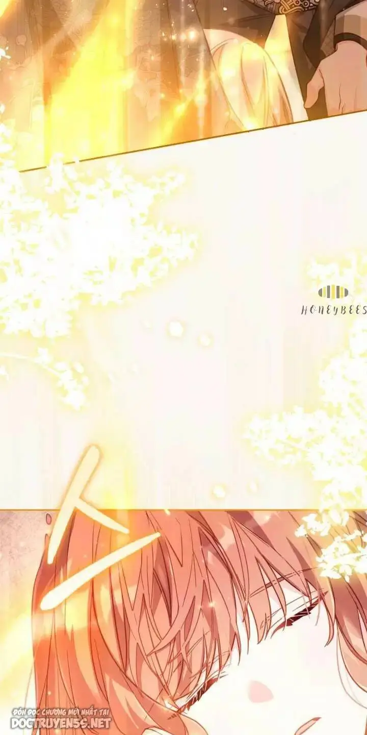 Chapter 29