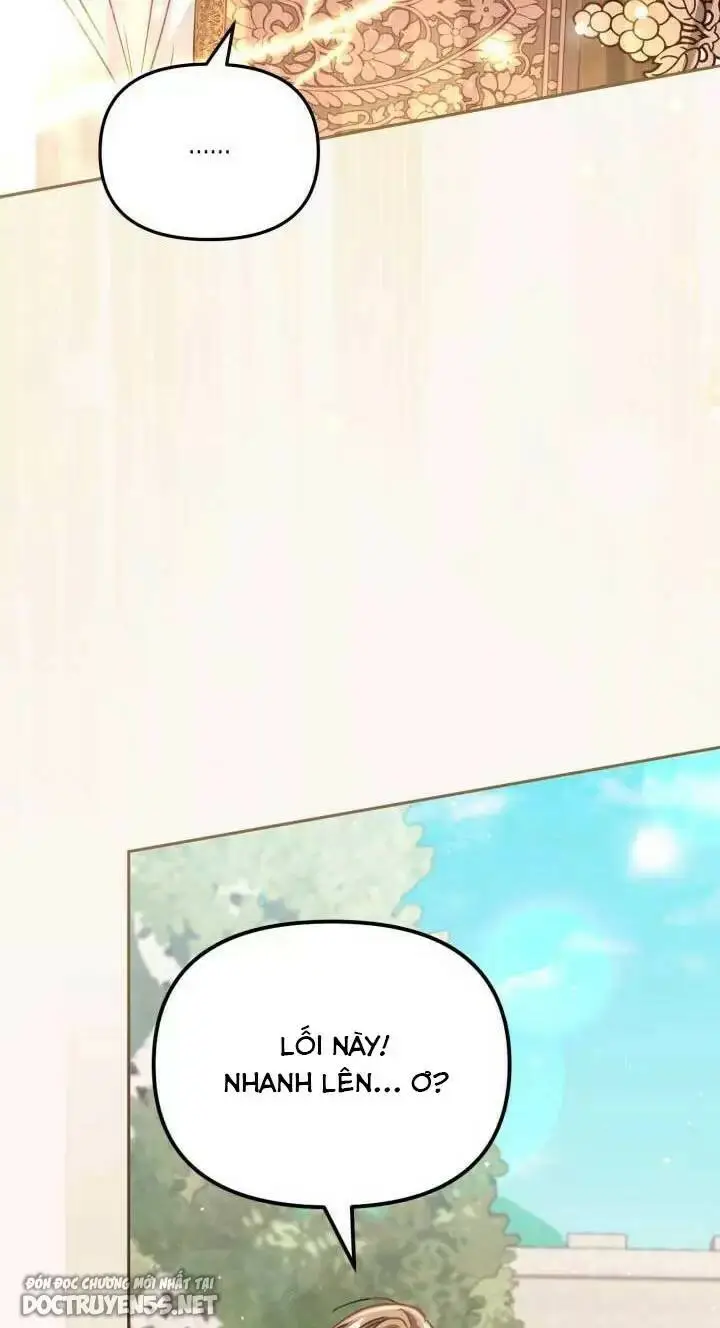 Chapter 29