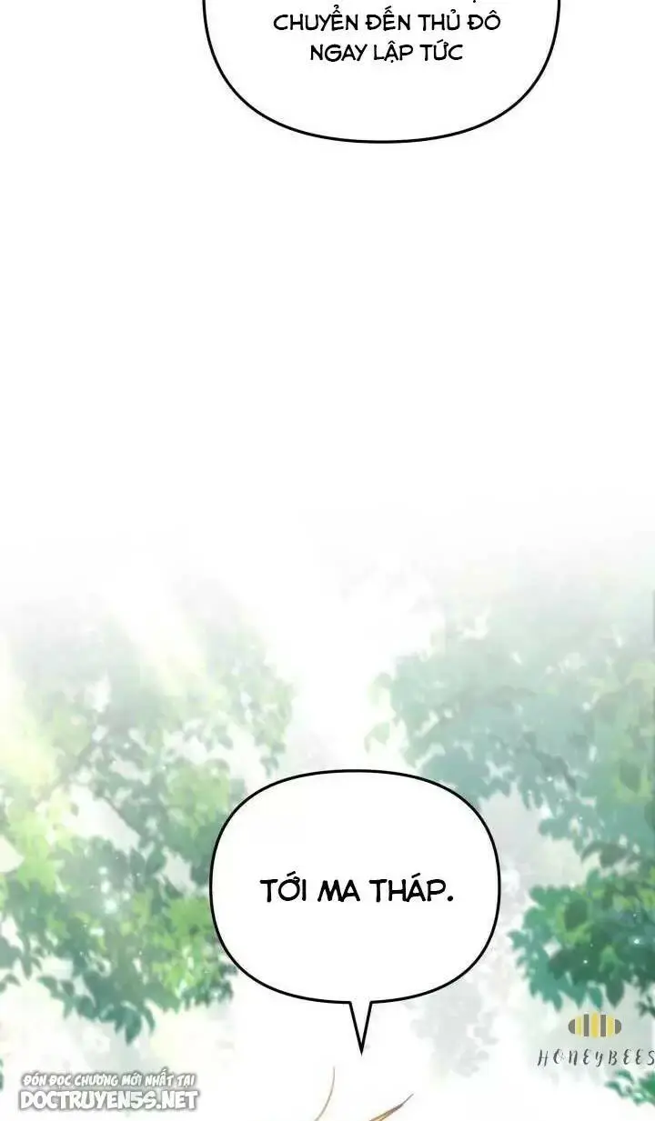 Chapter 29