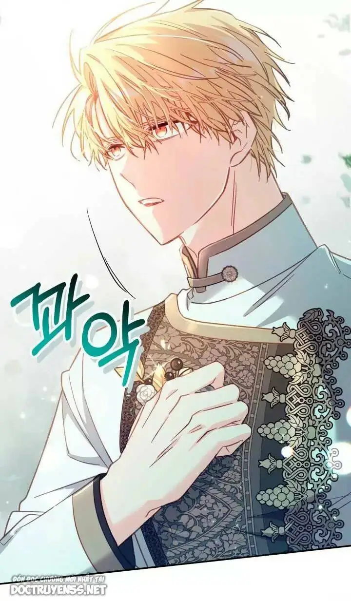 Chapter 29