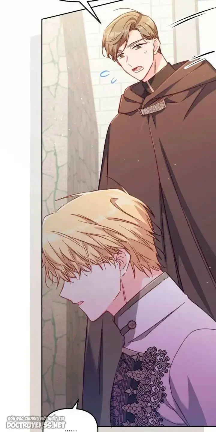 Chapter 29