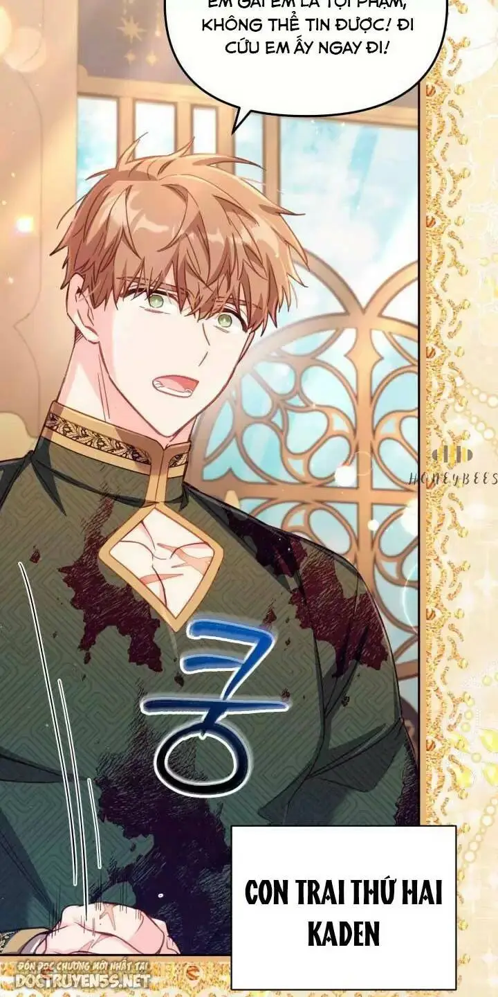 Chapter 29